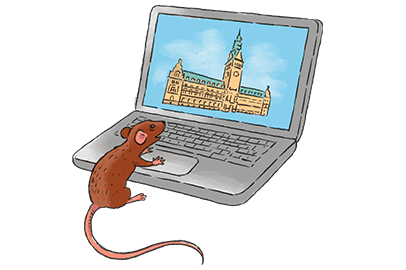 Filippo, die Ratte, vor einem Notebook